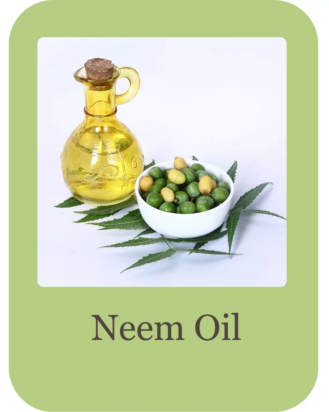 Hair growth serum ingredients (1)