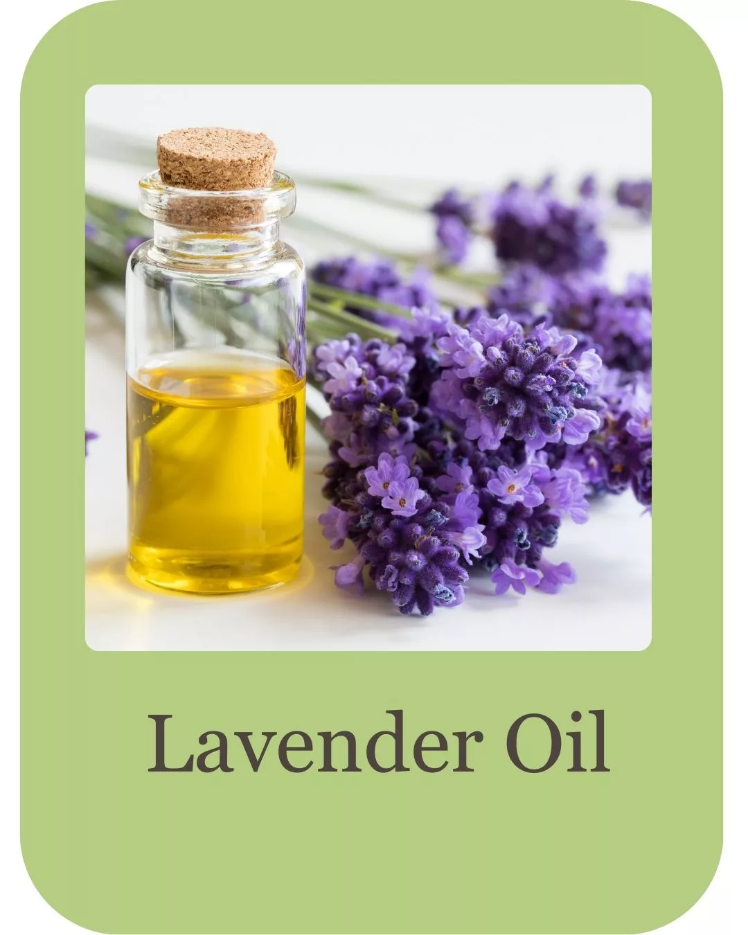 Hair growth serum ingredients (2)