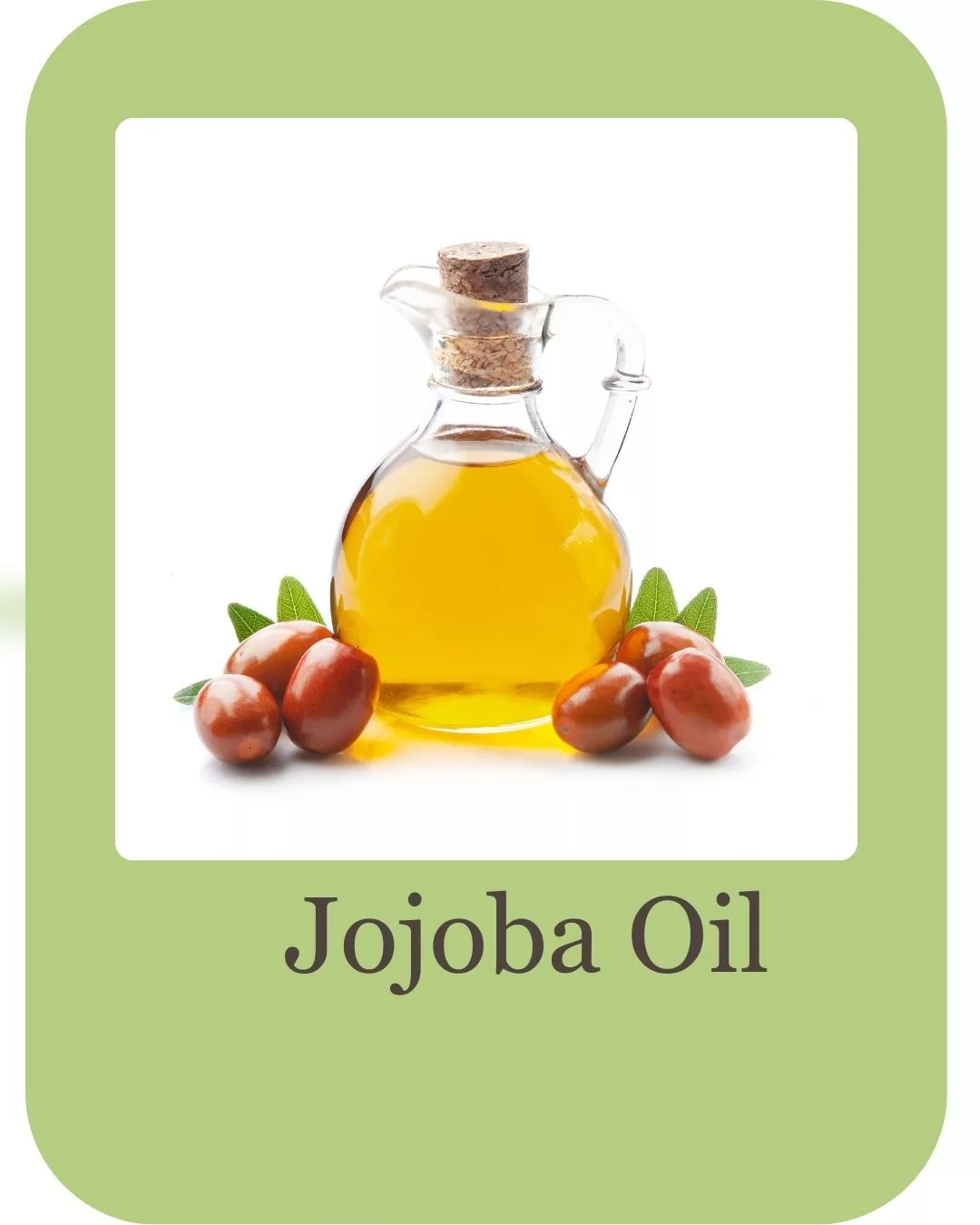 Hair growth serum ingredients (5)