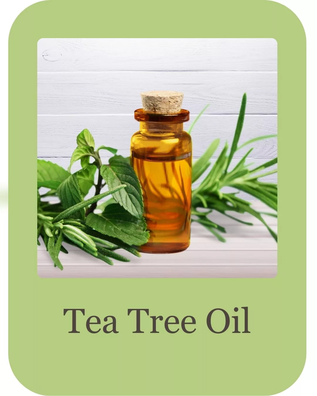 Pimple serum ingredients (6)