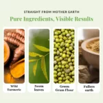 Pimple & Acne Control Face Mask