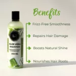 Aloe Vera Shampoo – Nourishment Boost