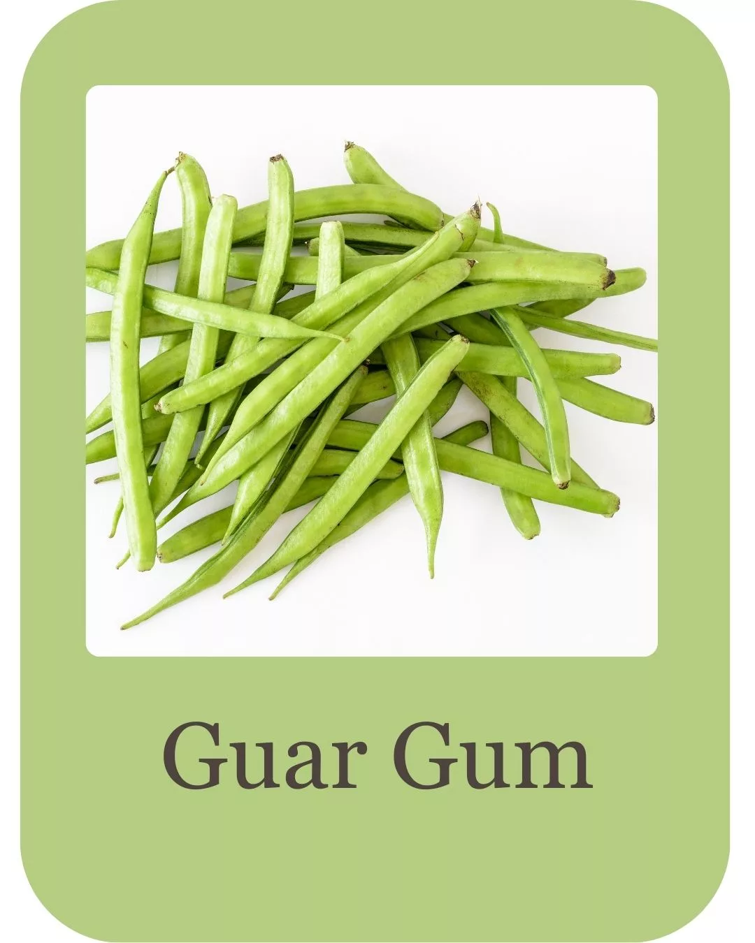 Aloevera gel ingredients (1)