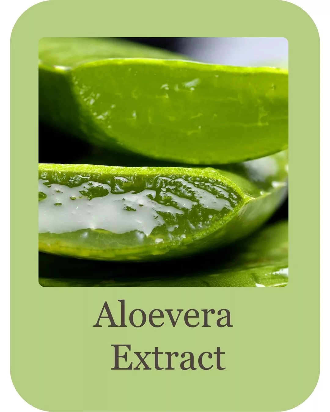 Goat milk shampoo ingredients (3)