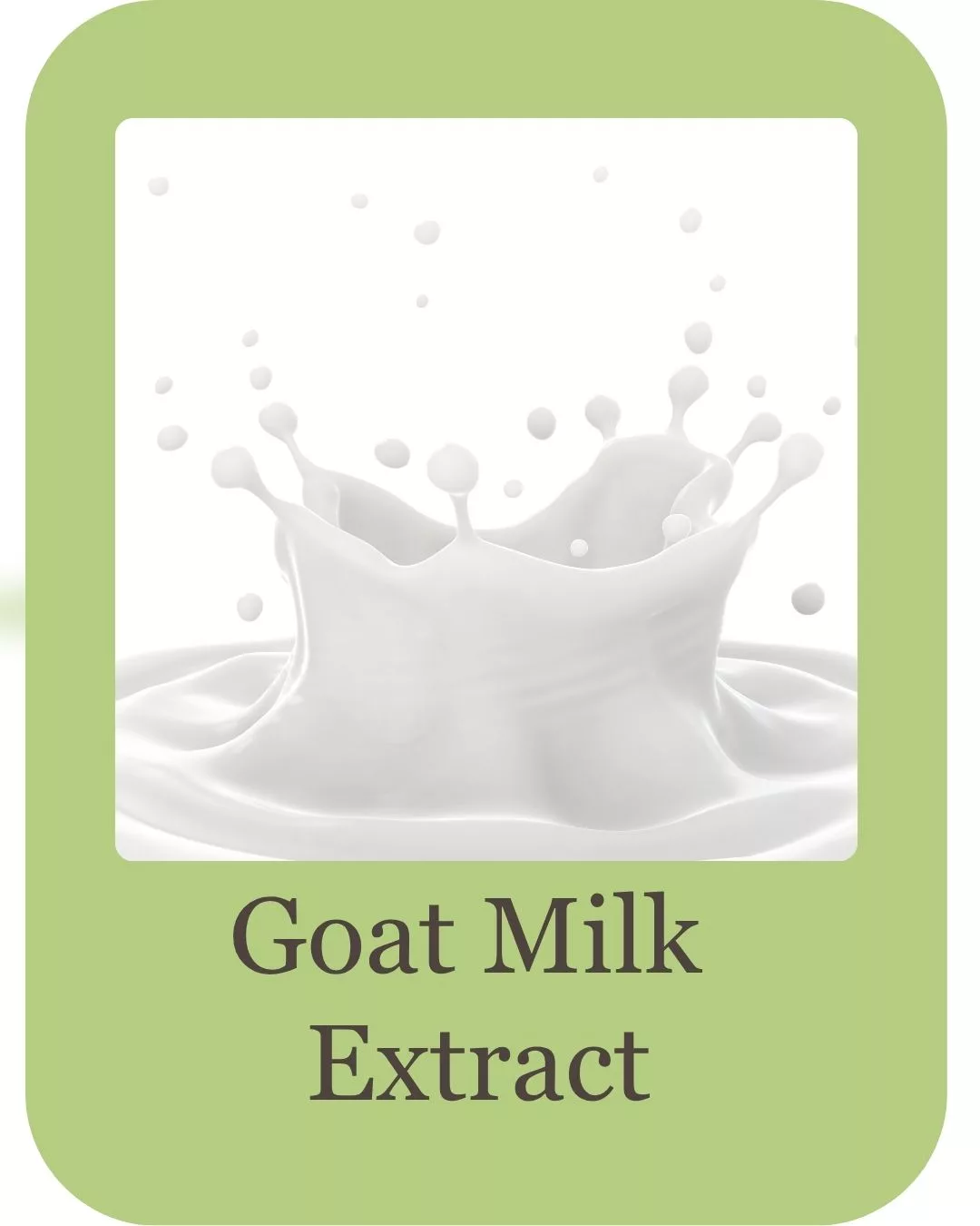 Goat milk shampoo ingredients (6)