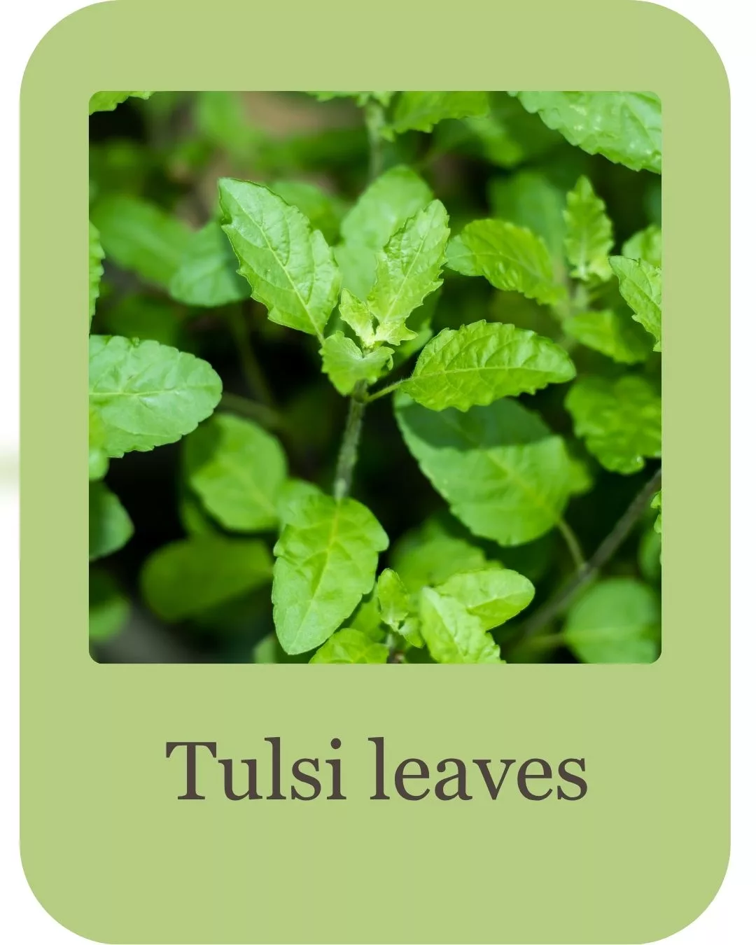 Product - Ingredients - Top Sellers (17)