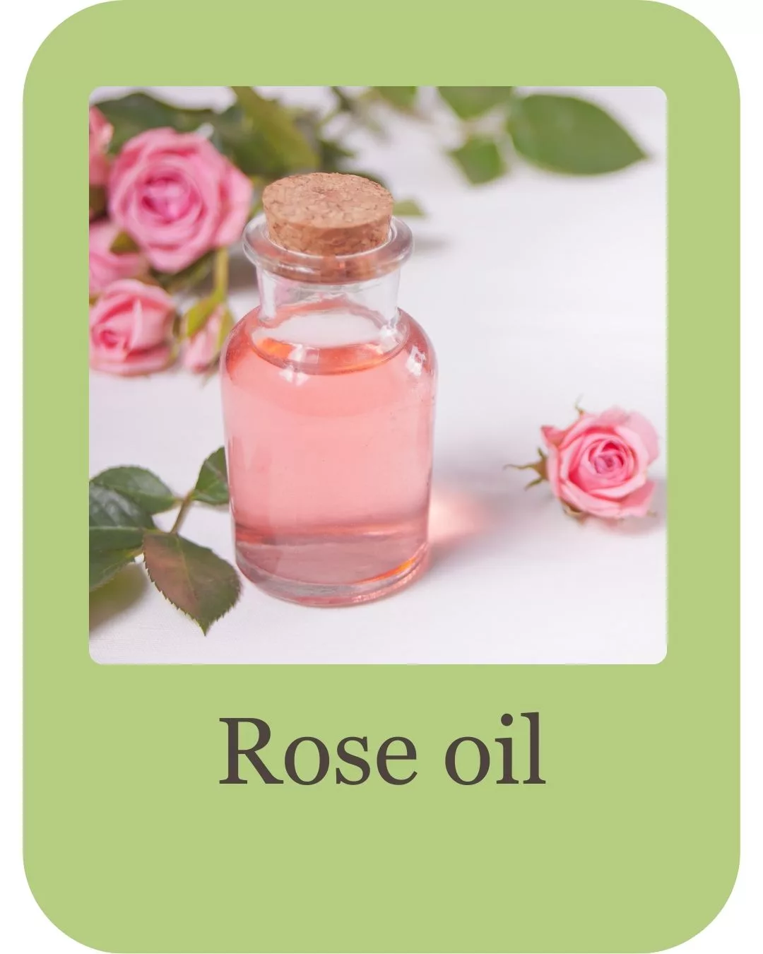 aloevera shampoo ingredients (4)