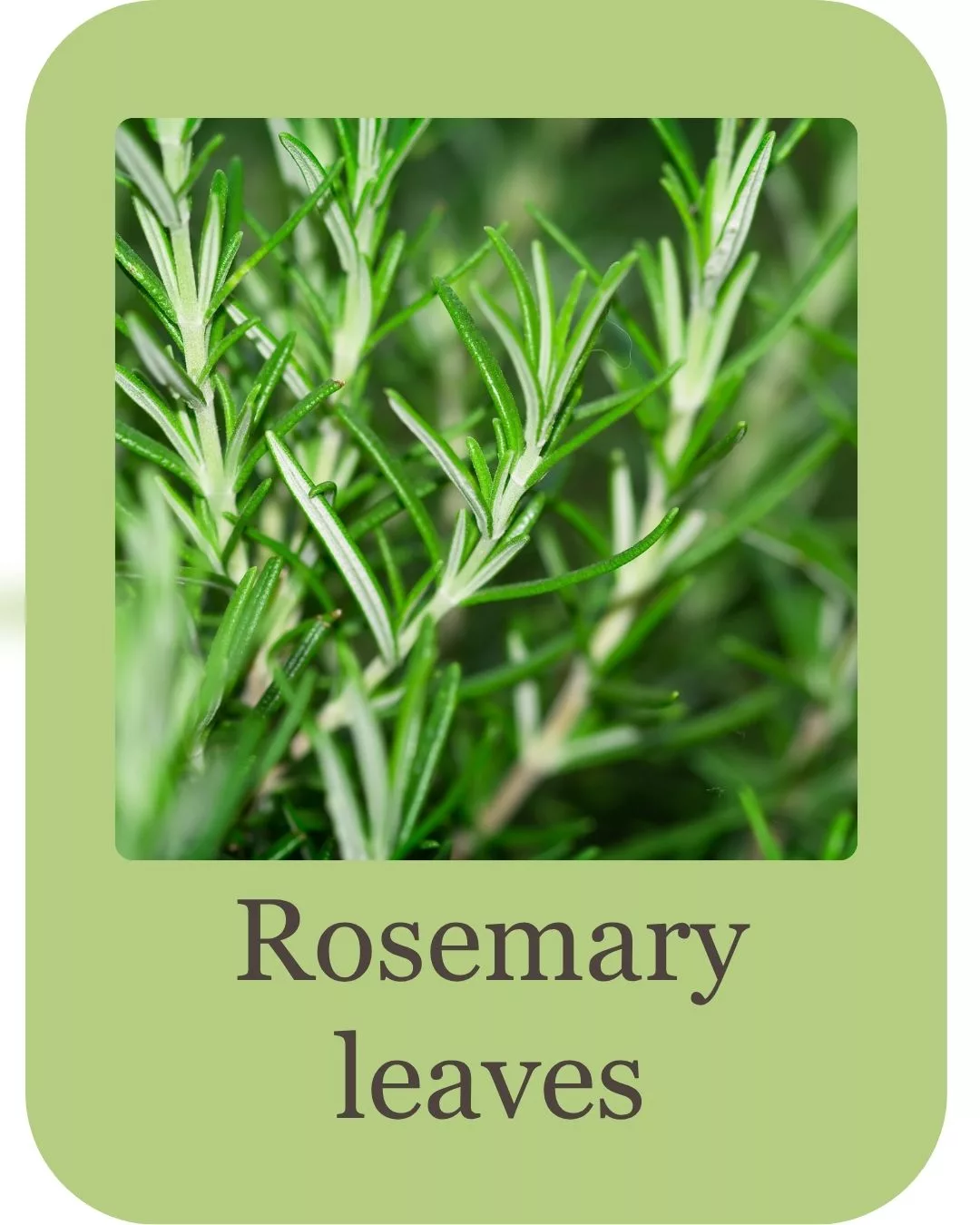 hair growth combo kit (11)