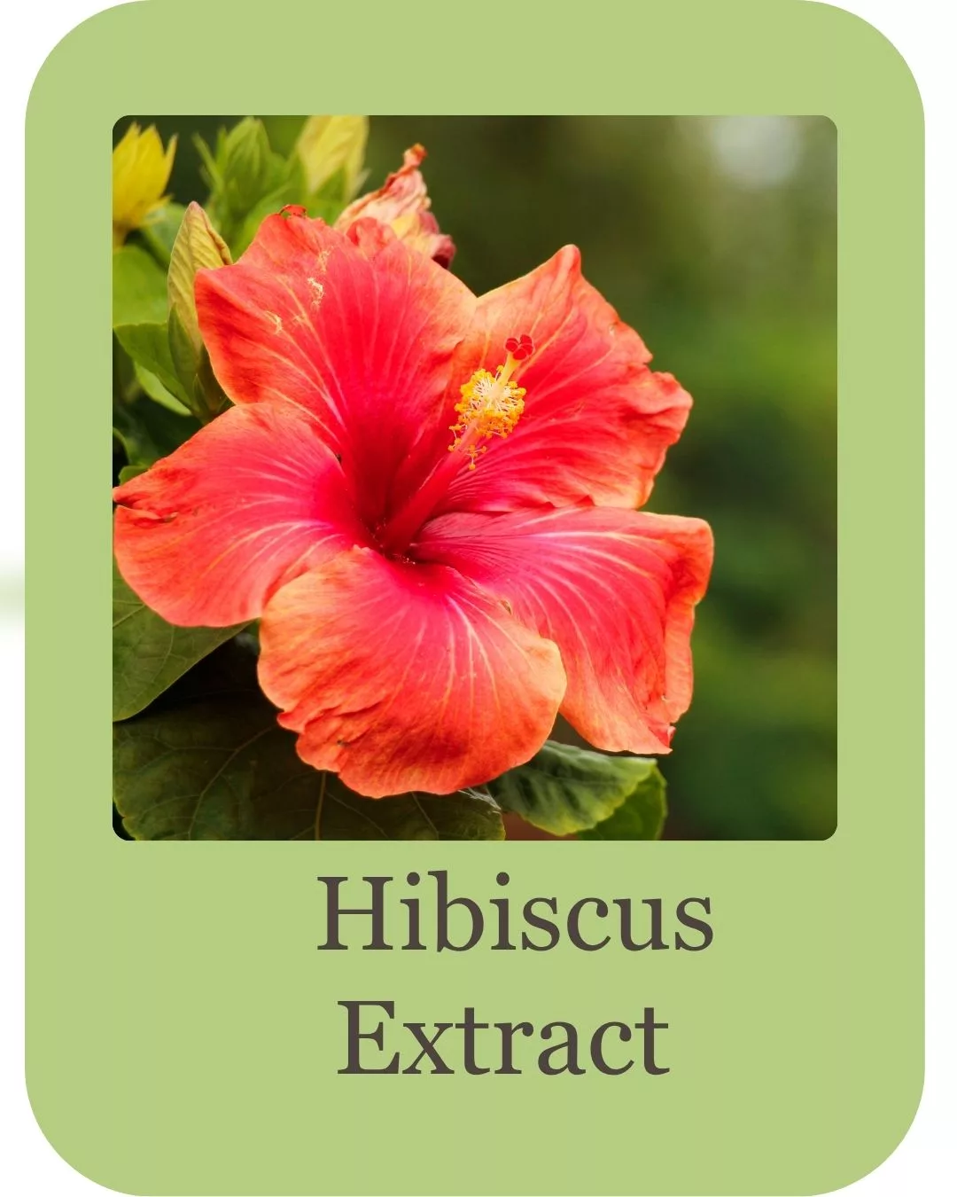 hair growth combo kit (8)