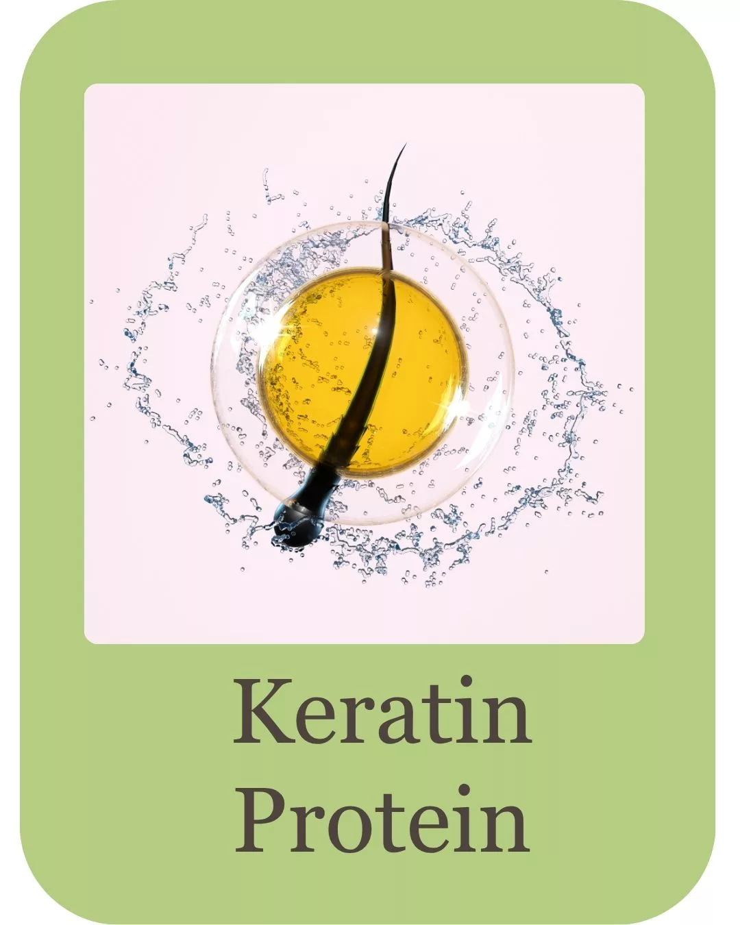 korean hair care do ingredients (1)