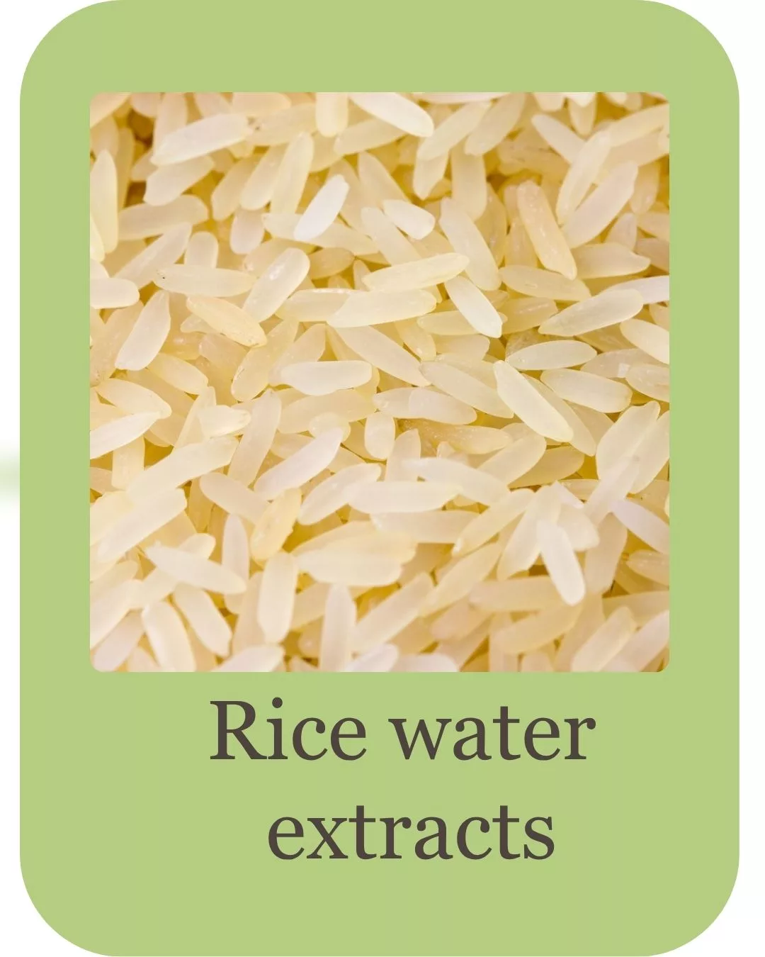 korean hair care do ingredients (5)