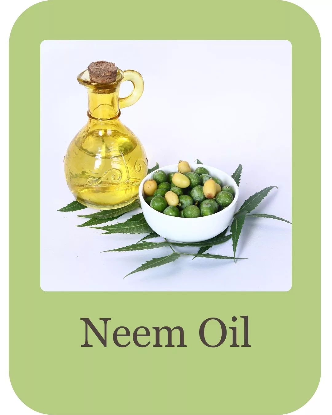 pimple care duo ingredients (7)