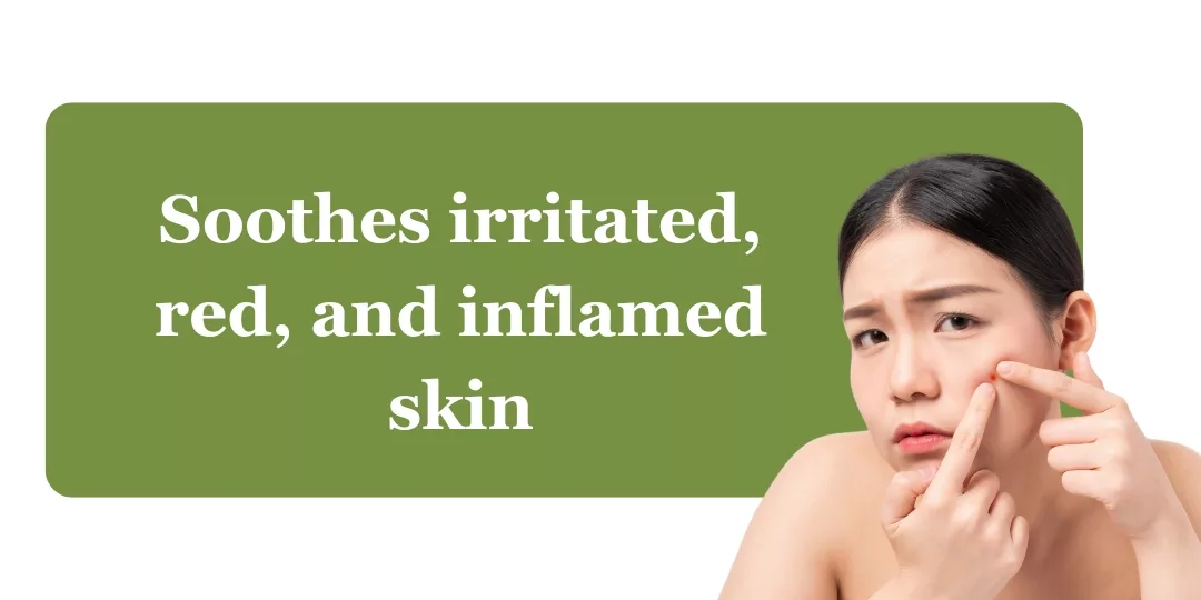 pimple care mini kit benefits (2)