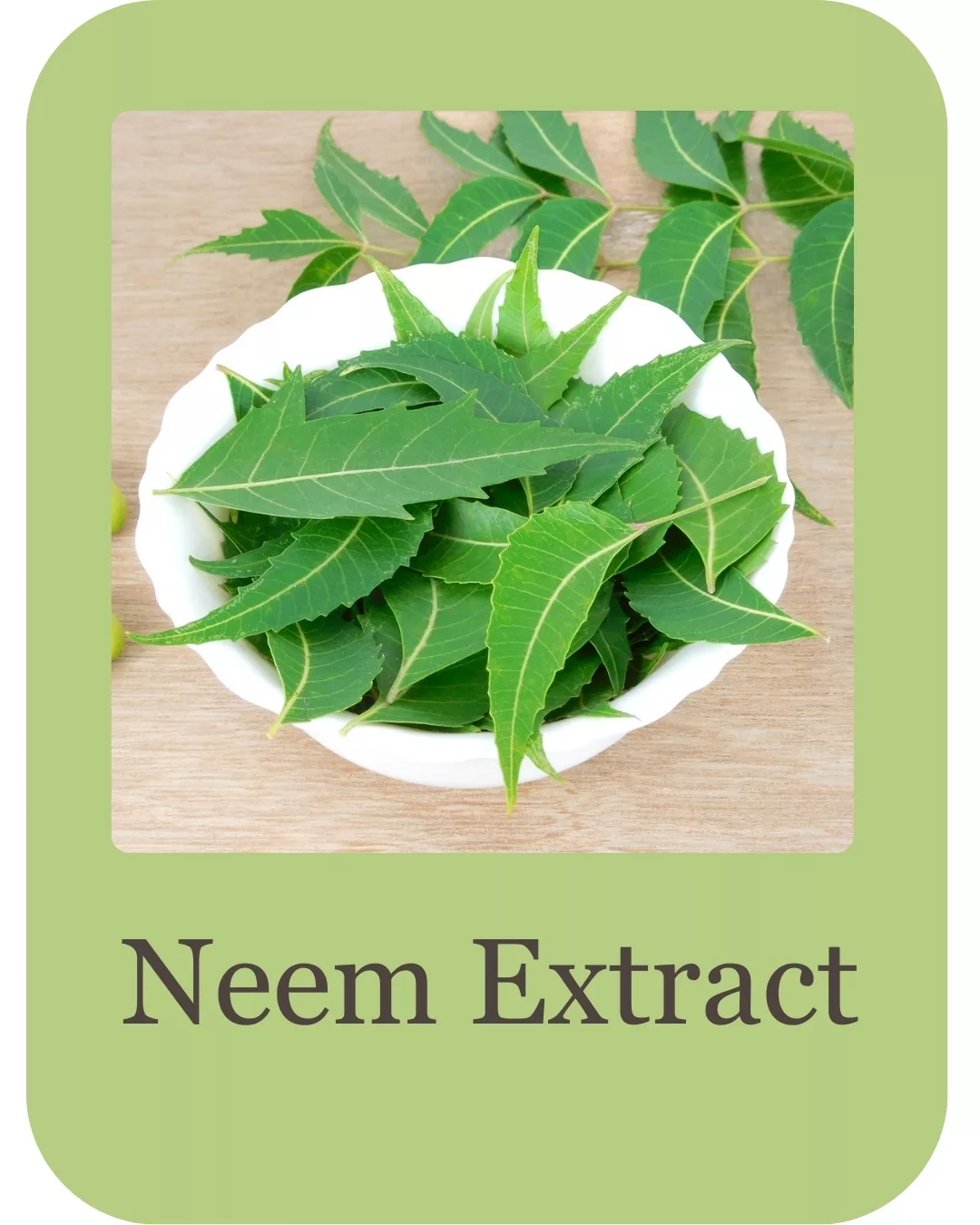 kumkumadi mini kit ingredients (4)