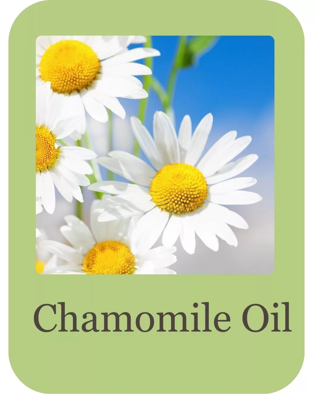 Goatb milk body wash ingredients (2)