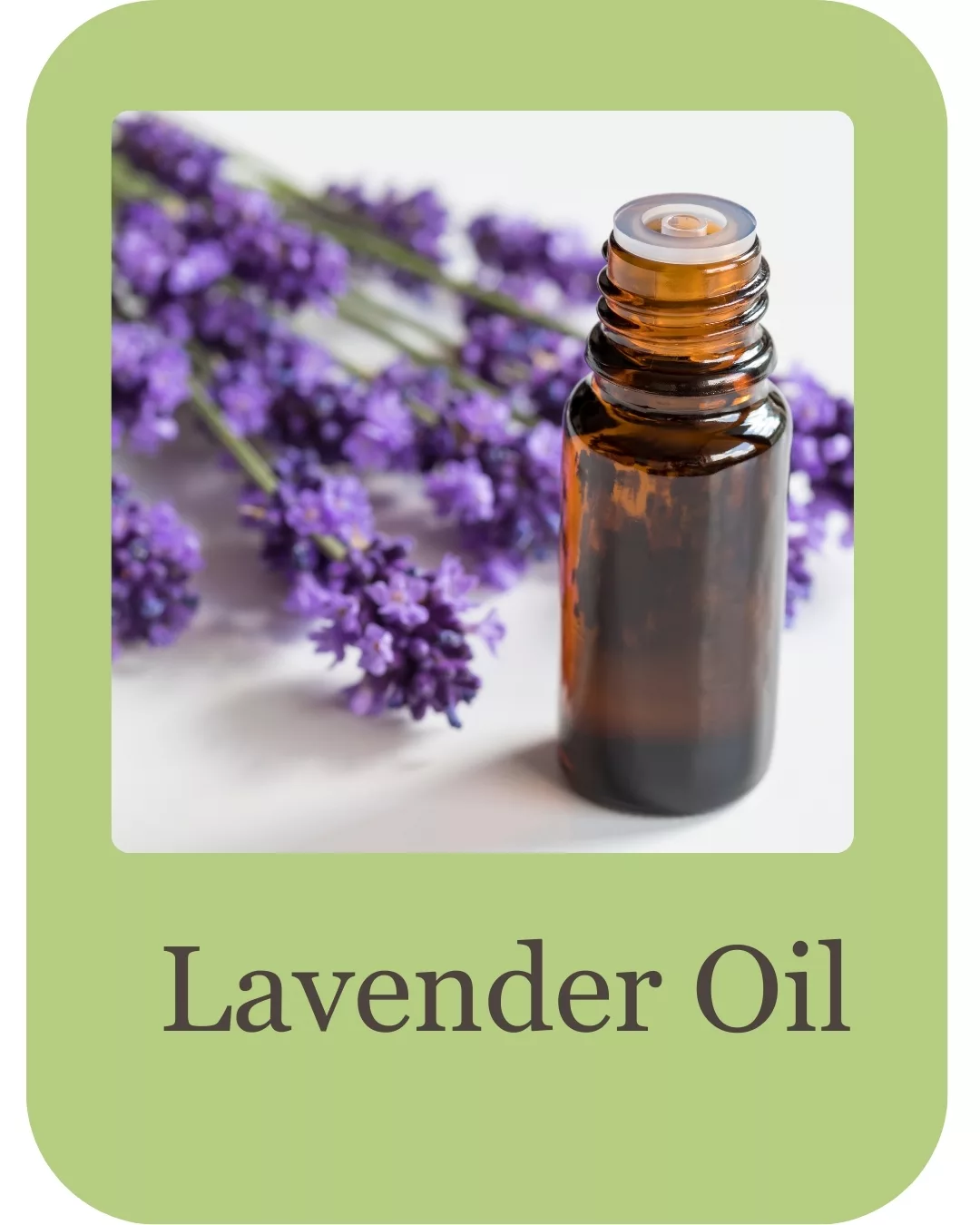 Goatb milk body wash ingredients (3)