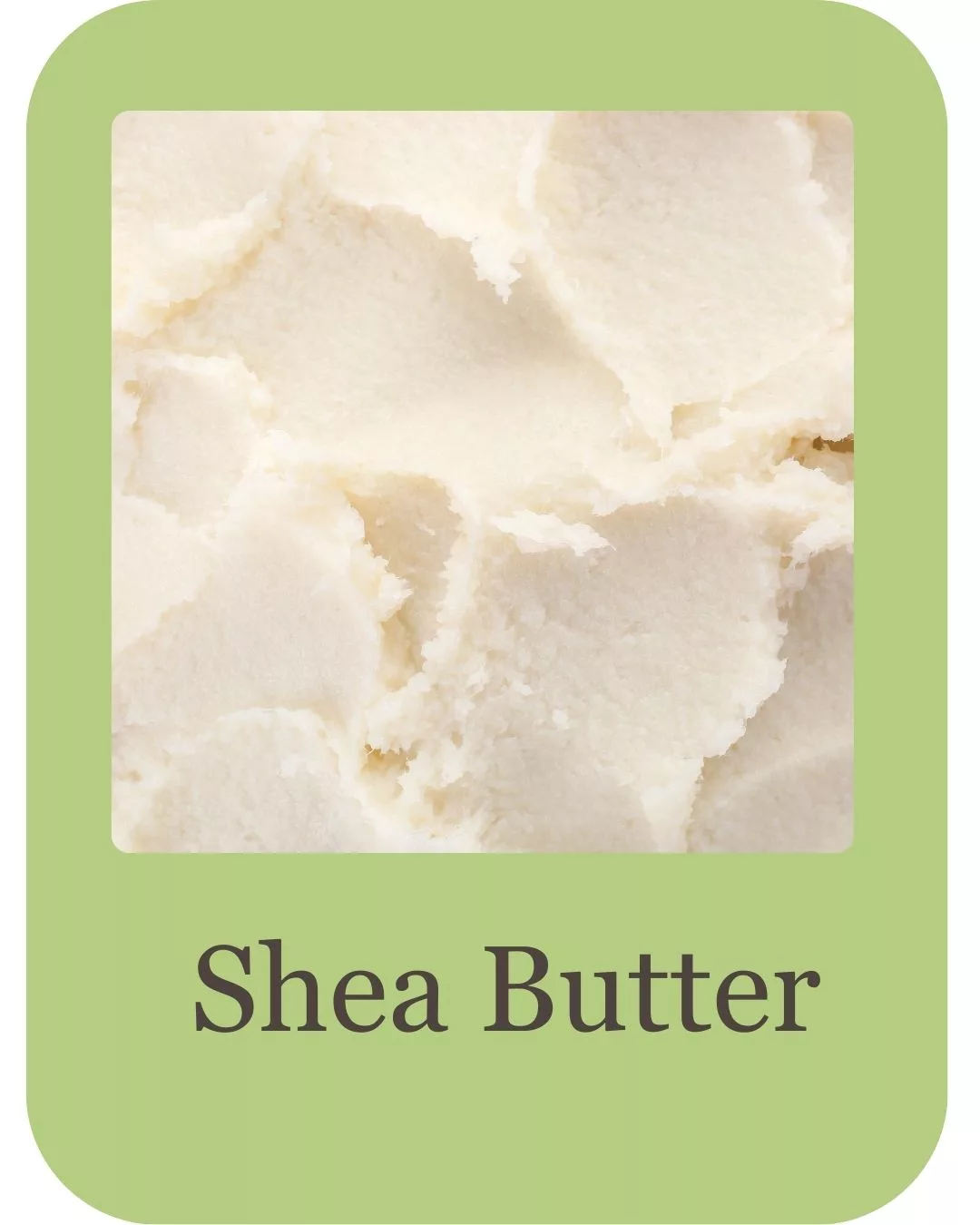 Goatb milk body wash ingredients (4)