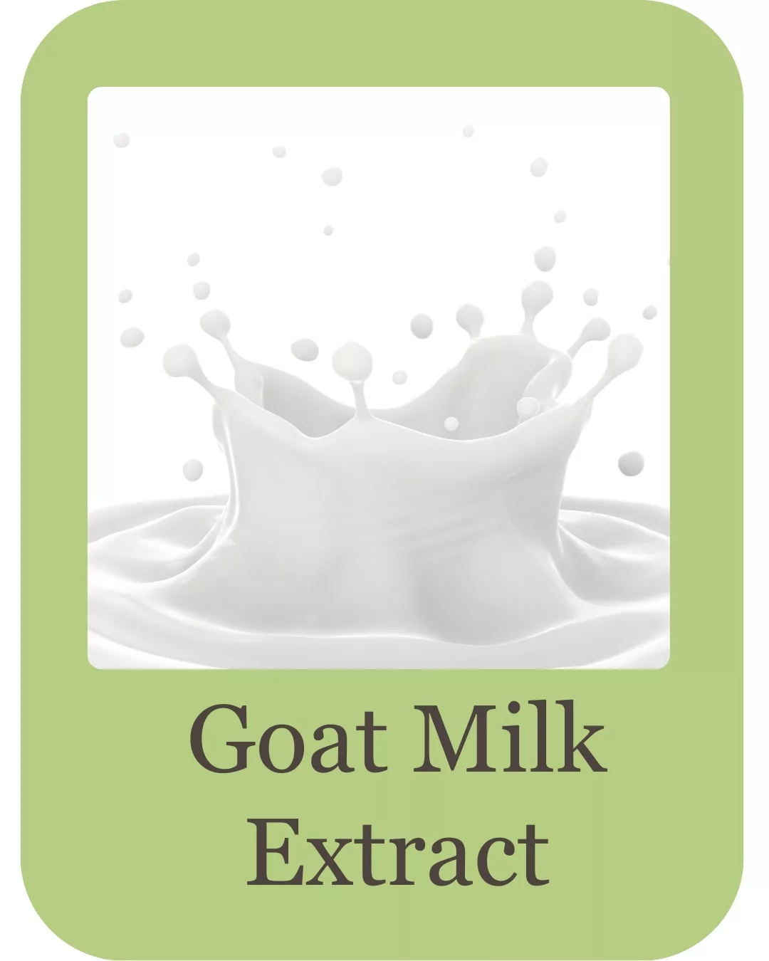 Goatb milk body wash ingredients (5)