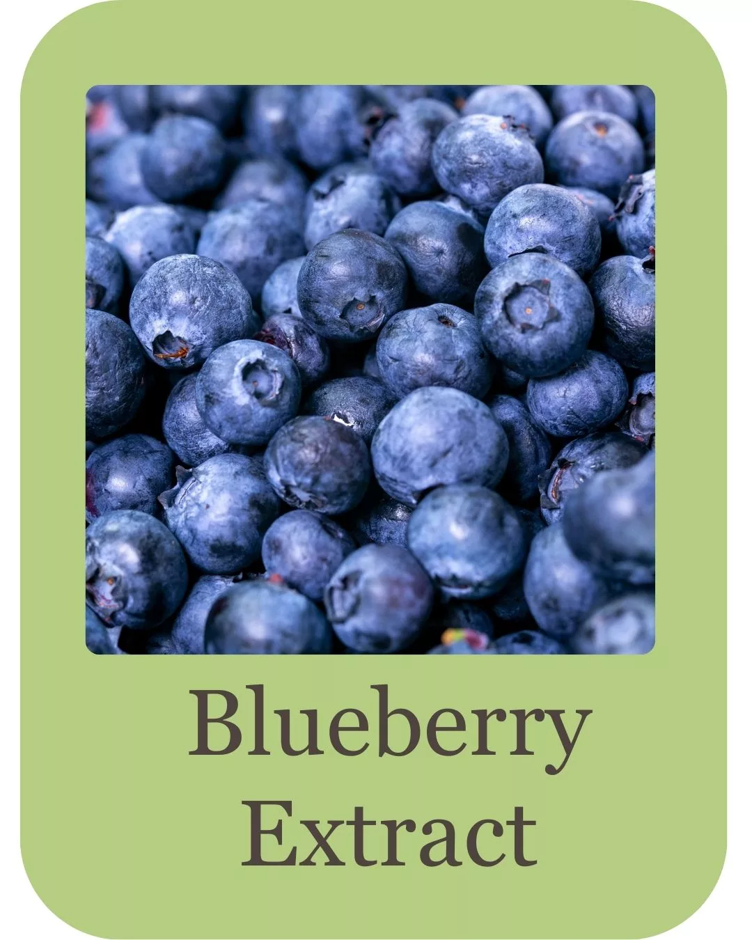 Product - Ingredients - Top Sellers (2)