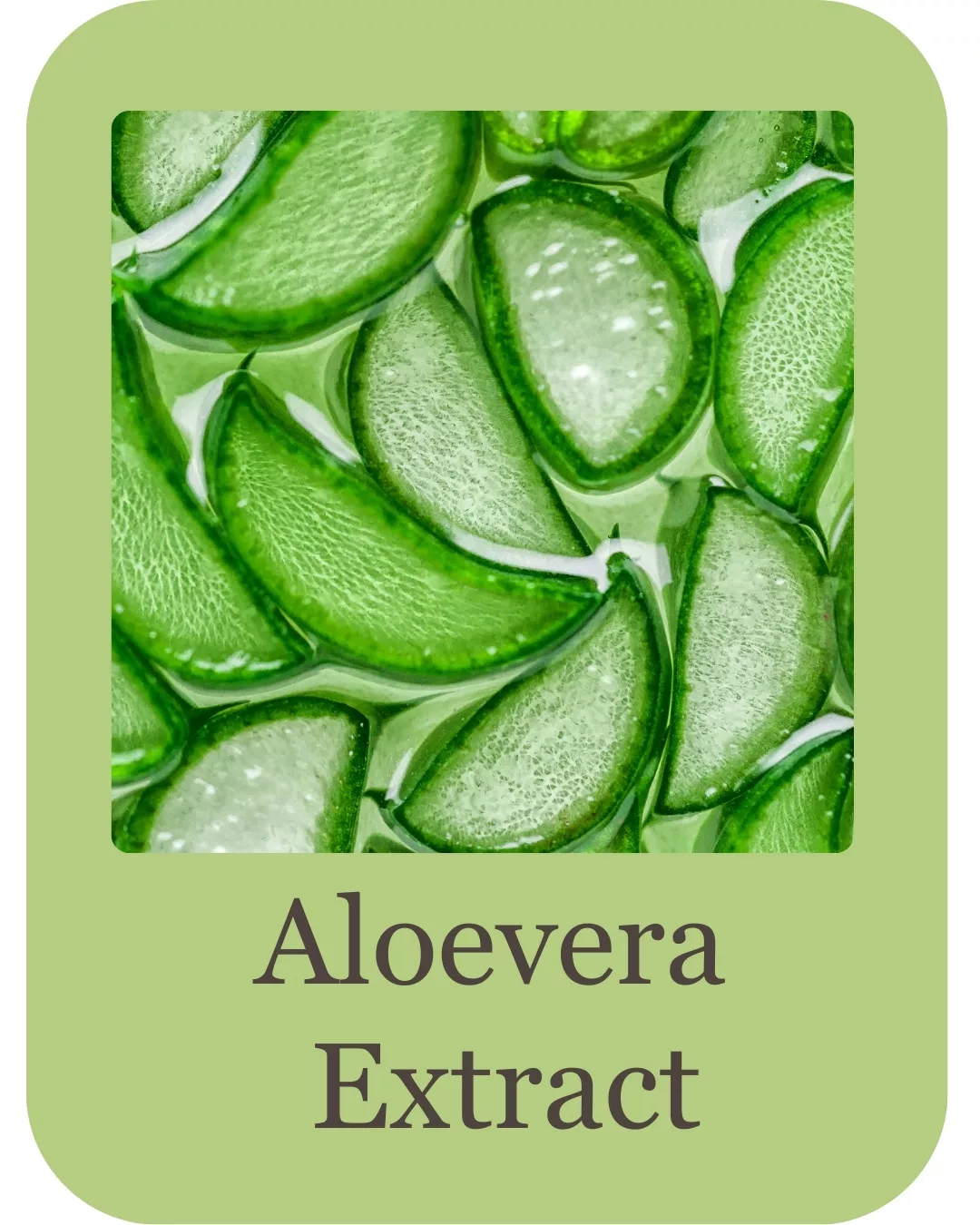 Product - Ingredients - Top Sellers (4)